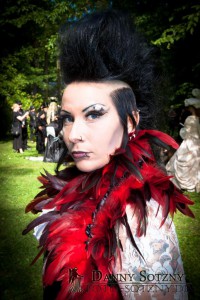 Viktorianisches Picknick 2014 + Besucher